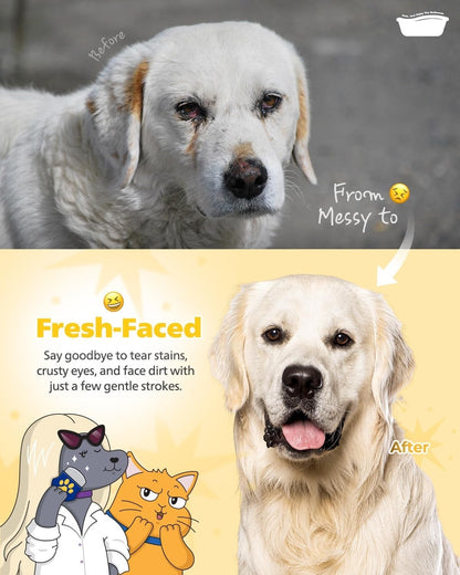 Professionell Ögonkam för Husdjur